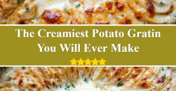 Potato Gratin
