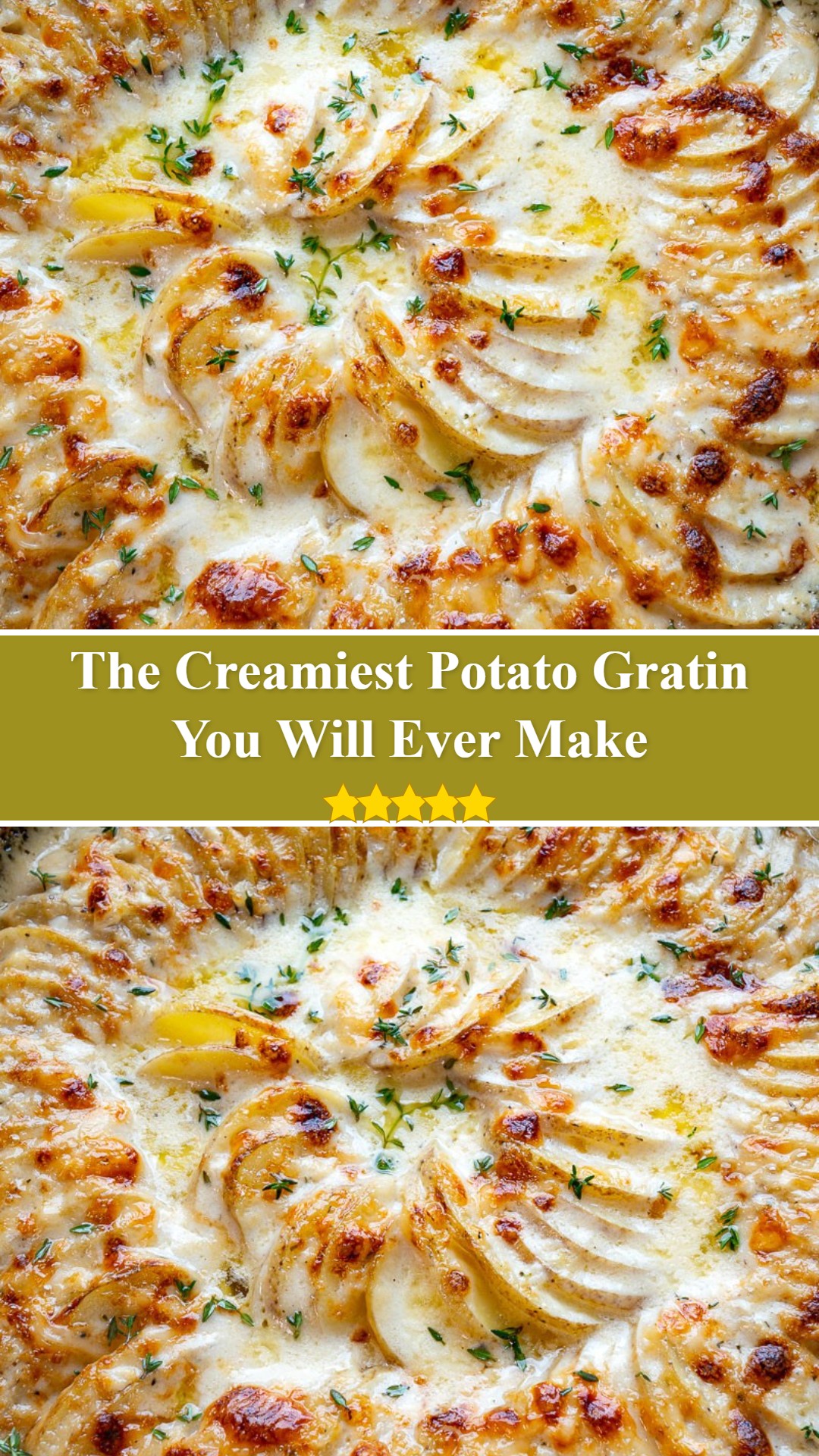 Potato Gratin